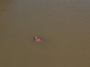 SALDREMOS DE LA CRISIS, (PERO HABRÁ QUE SACRIFICAR UNA GENERACIÓN)